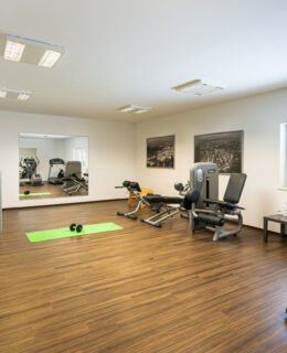 Fitnessbereich im elaya hotel steinplatte