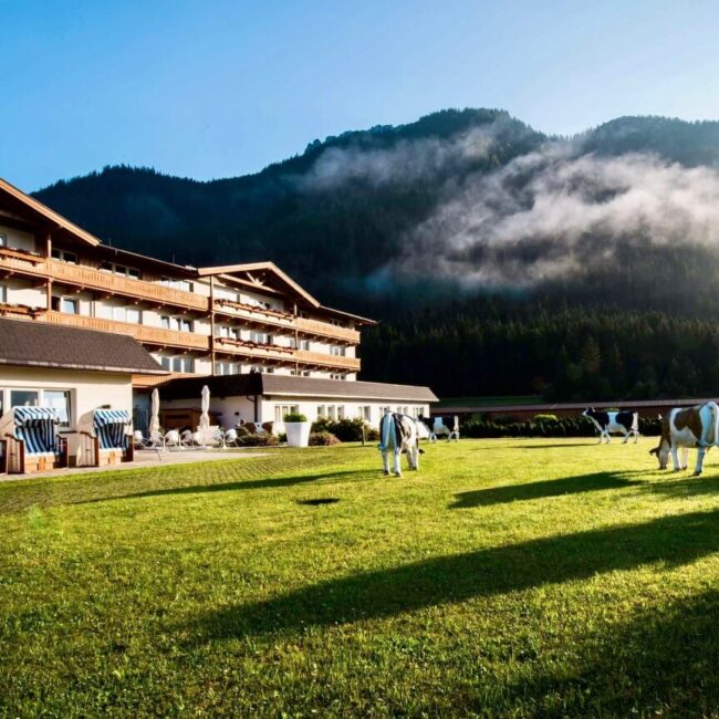 Das elaya hotel steinplatte im Sommer.